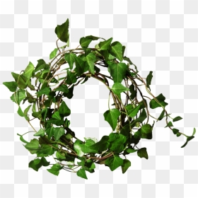 Transparent Ivy Png - Ivy Round, Png Download - ivy png