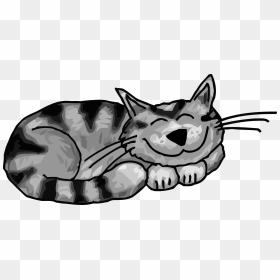 Funny Sleeping Cat Clipart Png - Grey Tabby Cat Clipart, Transparent Png - funny png