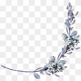 Hyacinths With A Laurel Branch Png By Amalus-d4jhzppright - Hinglish Poems, Transparent Png - branch png