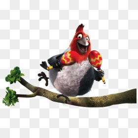 Pedro On A Branch - Movie Rio Characters Pedro, HD Png Download - branch png