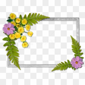 Free Png Flowers Frame Background Best Stock Photos - Flowers Frame, Transparent Png - png flowers