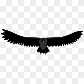 Gear, HD Png Download - raven png