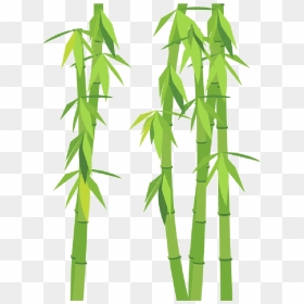 Go To Image - Bambou Png, Transparent Png - bamboo png