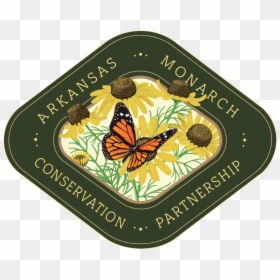Butterfly, HD Png Download - monarch png