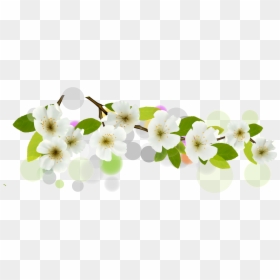 White Flower Vector Free Download, HD Png Download - flower banner png
