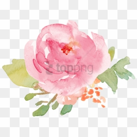 Pink Watercolor Roses Png, Transparent Png - cute flower png