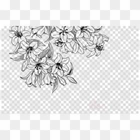 Carrie Gumball, HD Png Download - flower banner png