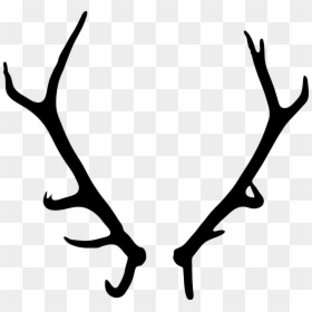 Stag Antlers Transparent Background, HD Png Download - deer horns png