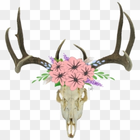 Transparent Deer Skull Png, Png Download - deer horns png