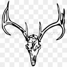 Clip Art, HD Png Download - deer horns png