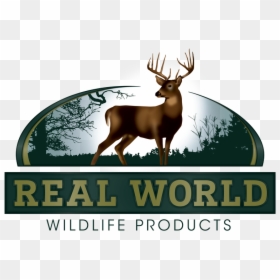 Real World Wildlife Seed, HD Png Download - deer horns png