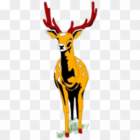Cartoon Deer Front View, HD Png Download - deer horns png