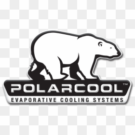 Polar Bear, HD Png Download - advance auto parts logo png