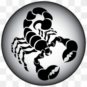 Scorpion Png, Transparent Png - 512x512 png images