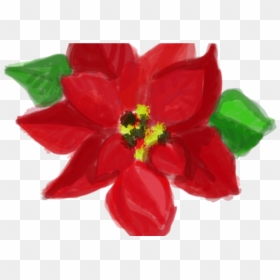 Poinsettia, HD Png Download - free christmas png