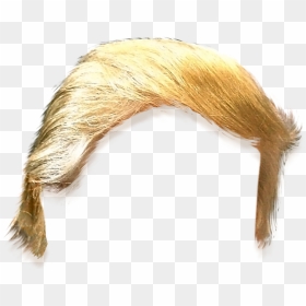 Thumb Image - Donald Trump Hair Cut Out, HD Png Download - trump hair png