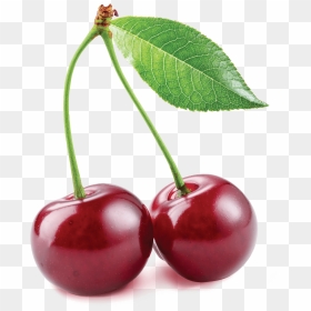 Cherry Png Clipart - Transparent Sour Cherry Png, Png Download - cherry png