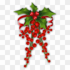 Mistletoe Png Transparent - Transparent Hanging Mistletoe Png, Png Download - holly png