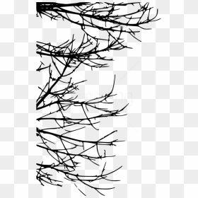Free Png Tree Branch Png - Twigs Silhouette Png, Transparent Png - branch png