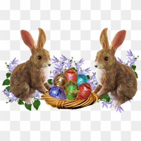 Transparent Easter Egg Basket Clipart - Transparent Easter Bunny Pngs, Png Download - easter bunny png