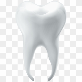 Molar-tooth - Molar Tooth Png, Transparent Png - tooth png