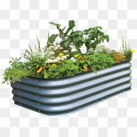 Veggie Garden Png & Free Veggie Garden Transparent - Garden Flower Pot Png, Png Download - garden png