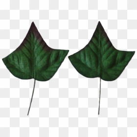 Green Mulberry Paper Ivy Leaves 3,5cm / 10pcs - Leaf, HD Png Download - ivy png