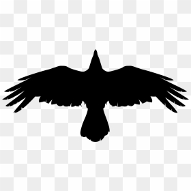 Transparent Black Crow Png - Flying Crow Silhouette, Png Download - crow png