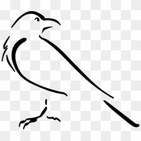 Crow Drawing Outline, HD Png Download - crow png