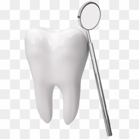 Human Tooth The Center For Family & Cosmetic Dentistry - Dental Teeth Png, Transparent Png - tooth png