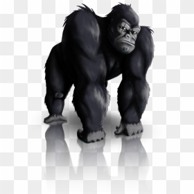 Silverback Gorilla Png, Transparent Png - gorilla png
