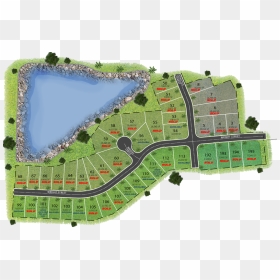 Picture - Plan, HD Png Download - tall grass png