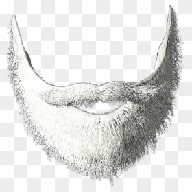 White Beard Png - Transparent White Beard Png, Png Download - santa beard png