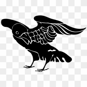 Black Crow, HD Png Download - crow png