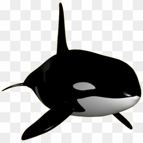 Orca Clipart Transparent - Orca Clipart Png, Png Download - whale png
