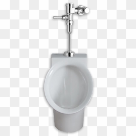 Toilet Bathroom Urinal Standard American Flush Brands - American Standard Decorum Urinal, HD Png Download - toilet png