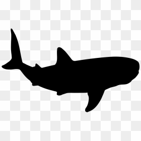 Whale Shark Shape - Transparent Background Shark Cartoon, HD Png Download - whale png