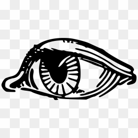 Eyeball Clip Arts - Eye, HD Png Download - eyeball png