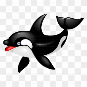 Killer Whale Dolphin Drawing Cetacea - Cartoon Baby Killer Whale, HD Png Download - whale png