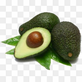 Png Transparent Avocado Png, Png Download - avocado png
