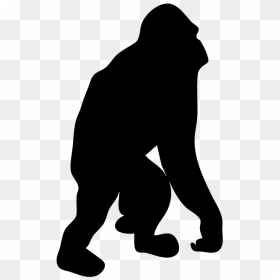 Gorilla Silhouette Png - Orangutan Silhouette, Transparent Png - gorilla png