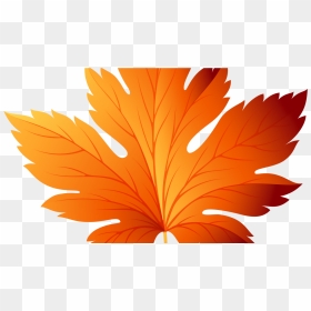 Fall Leaves Clip Art Transparent - Autumn Leaves Vector Png, Png Download - fall png