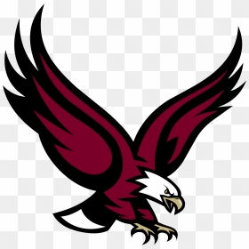 Eagles Logo Png - Boston College Eagle, Transparent Png - eagles logo png