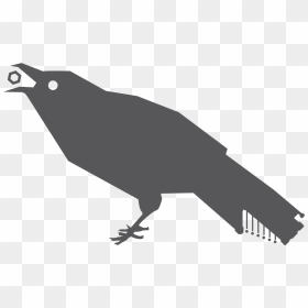 Crow , Png Download - Crow, Transparent Png - crow png