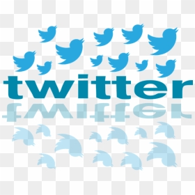 Transparent Twitter Bird Png Transparent - Twitter Bird Shot, Png Download - twitter bird png