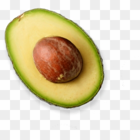 Half Avocado Png Photos - Half Avocado Transparent Background, Png Download - avocado png