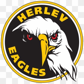 Herlev Eagles Logo, HD Png Download - eagles logo png