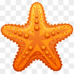 Starfish Clip Art - Transparent Background Starfish Clipart, HD Png Download - starfish png