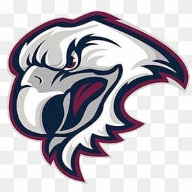 Side Decals Eagles - Manly Sea Eagles Logo, HD Png Download - eagles logo png