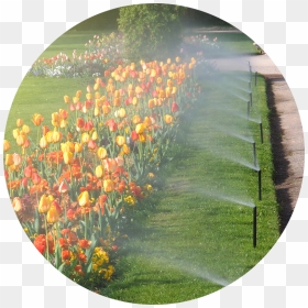 Sprinkler Irrigation In Garden , Png Download - Parc Irrigation, Transparent Png - garden png
